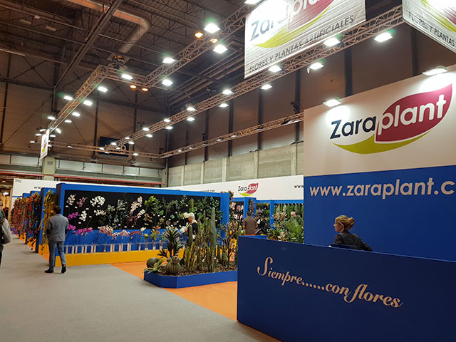 Zaraplant Feria Intergift Febrero 2019